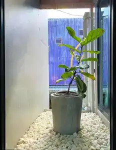 Little One - 11