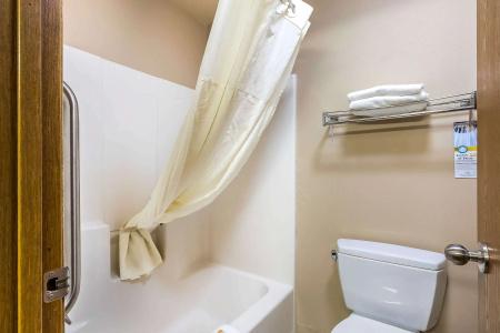 Quality Inn & Suites Chesterfield Village - 9