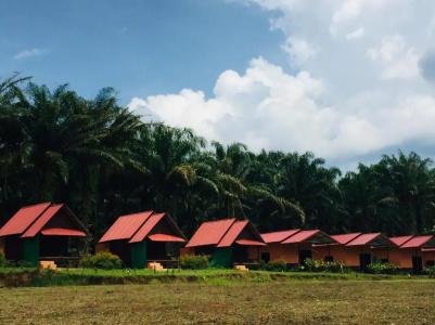 Khao Sok Evergreen House - 27