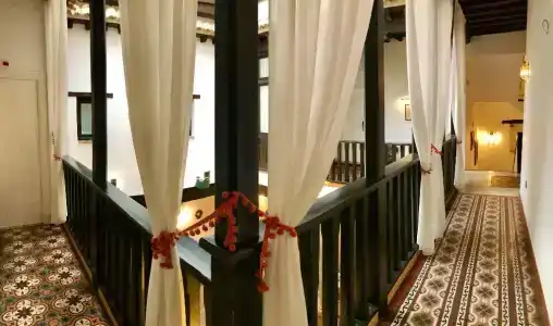 Rosa De oro - 5