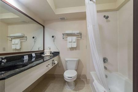 Quality Inn & Suites West Chase - 7