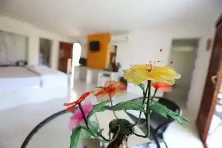 The Orchid Resort & Relax - 66