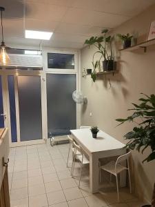 Fox-Box Dresden - 39