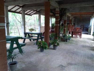 Lavish Eco Jungle - 5