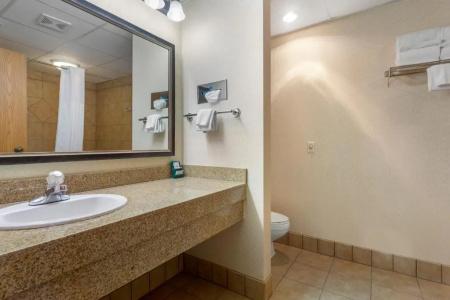 Comfort Inn at Thousand Hills - 61