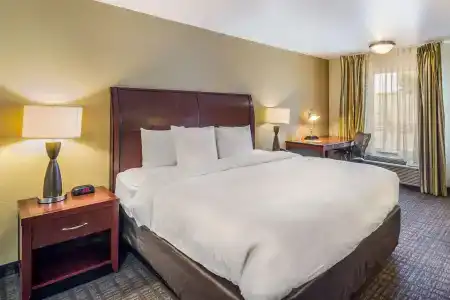 Clarion Inn & Suites Central Beach - 49