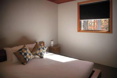 Phoenix Cocoon By Hakuba Group - 64
