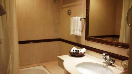 Park Plaza Chennai Omr - 8