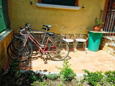 Sally's b&b - 15