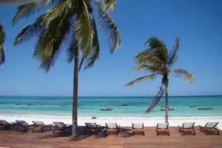 Albatross Ocean View - 8
