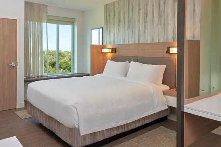 SpringHill Suites by Marriott Orlando Lake Nona - 29