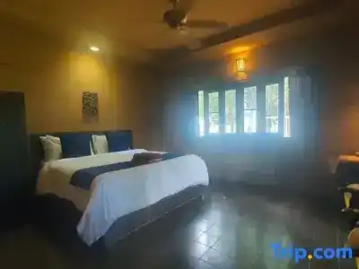 Melina Beach Front Bungalows - 30