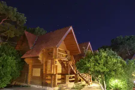 Woodline - 12
