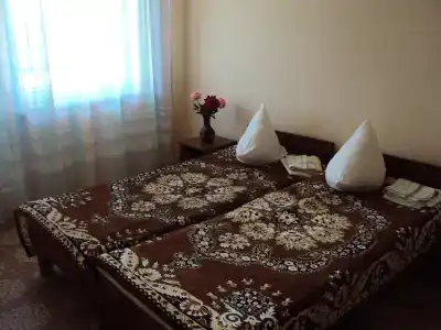 Фламинго - 3