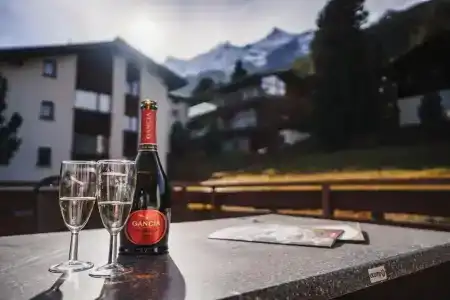 Alpenlodge Etoile - 53