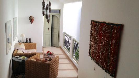 Riad Timila - 12