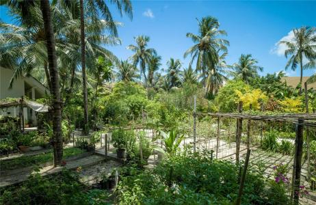 SAii Lagoon Maldives, Curio Collection by Hilton - 42