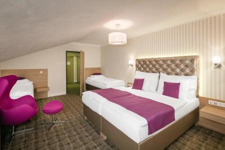 Pytloun Wellness Harrachov - 39