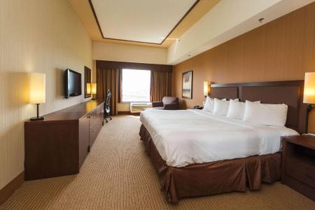 Quality Inn & Suites - 82