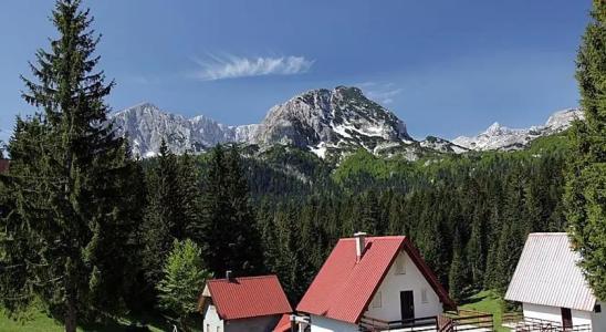 Guest House Nena - 2