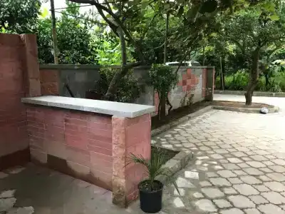Green House - 17