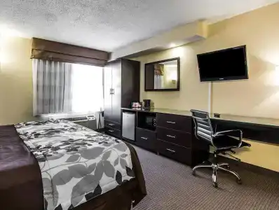 Quality Inn - 51
