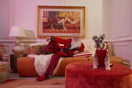 Virgins New Orleans - 95