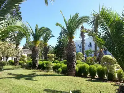 Eden Club Skanes - 19