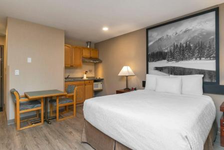 Quality Inn & Suites - 38