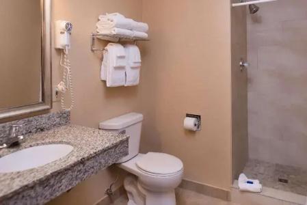 Best Western Ambassador Inn & Suites - 176