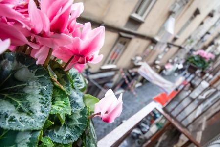 b&b Napoli Time - 15