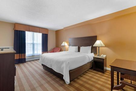 Quality Inn - 29