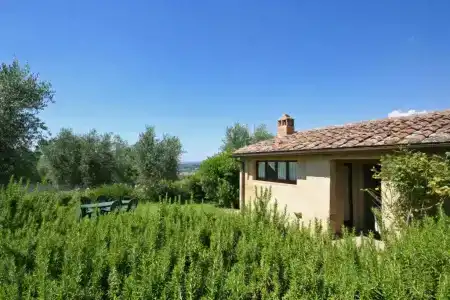 Podere Il Pino - 127