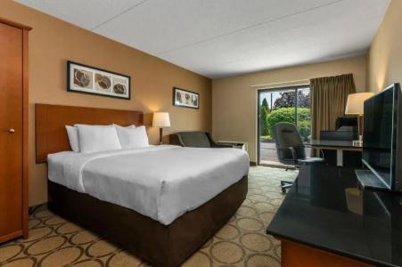 Comfort Inn - 50