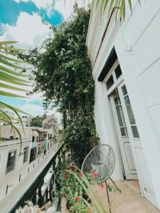 Mosquito Boutique Zona Colonial - 45