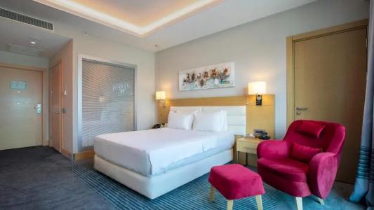 Holiday Inn Ankara - Cukurambar, an IHG - 64