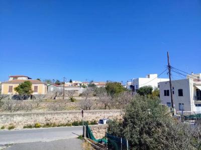 Aegina - 116