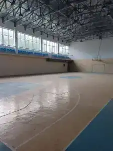 Тулпар - 24