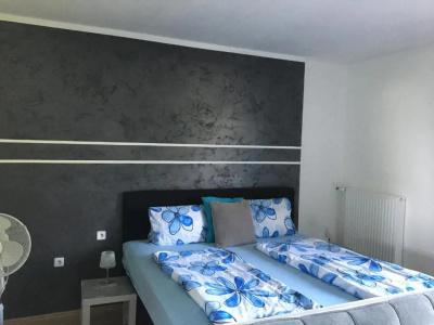 Pension Waldesruh - 20
