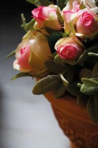 Roses - 88