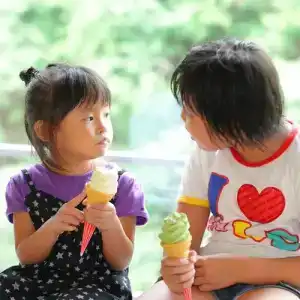 Yoshikawaya - 30