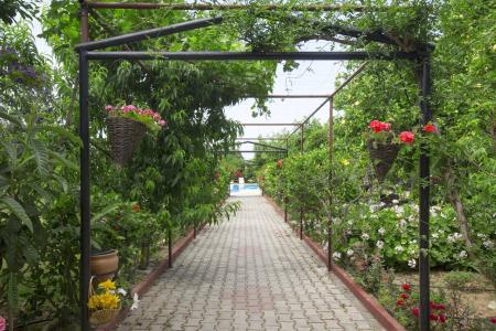 Lapida Garden - 13