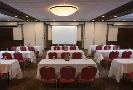DoubleTree Suites by Hilton Tucson-Williams Center - 18