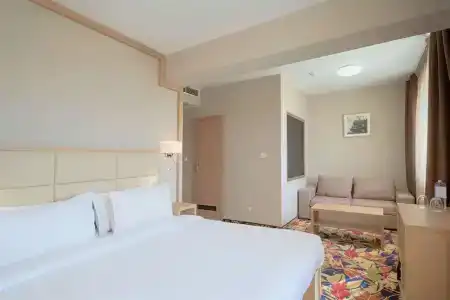 Imperial Plovdiv, a member of Radisson Individuals - 54