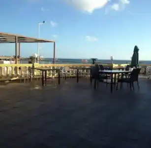 Delphin Resort Monastir - 19