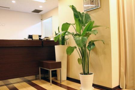 S-plus Nagoya Sakae - 1