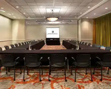 The Whitehall Houston - 22