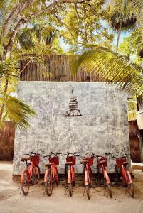 Libelula Tulum - 9