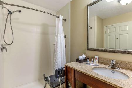 Comfort Inn Saint George North - 8