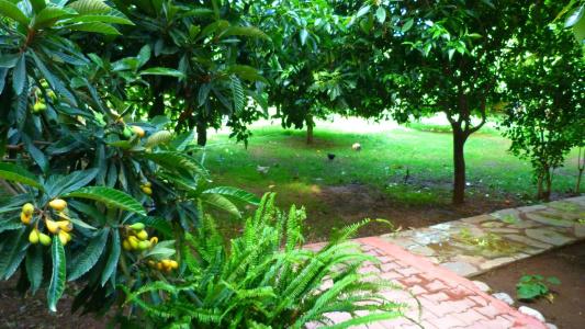 Simge Pension - 25